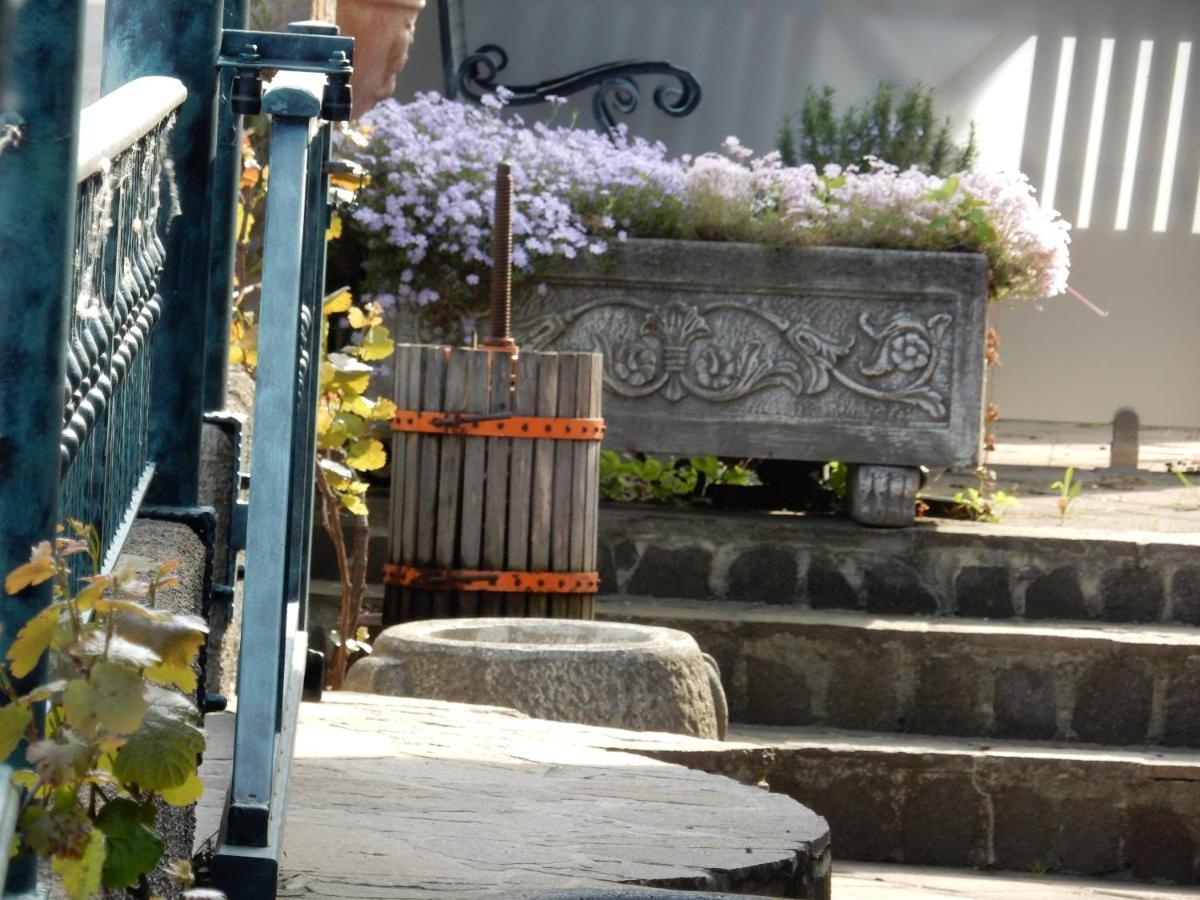 Garni Hotel Terano 마리보르 외부 사진